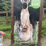 phoca_thumb_m_vlet km 23 Fotogalerie